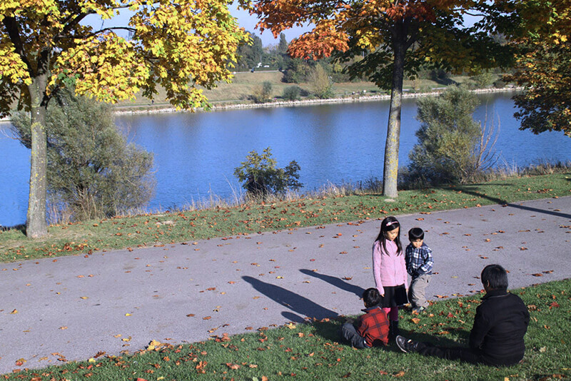fall, autumn vienna