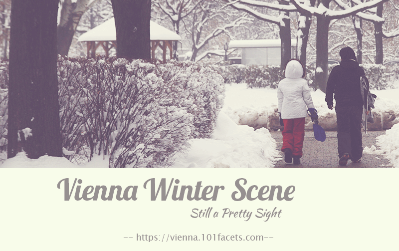 Vienna Winter Scene